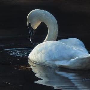 Meet your Posher, Anita